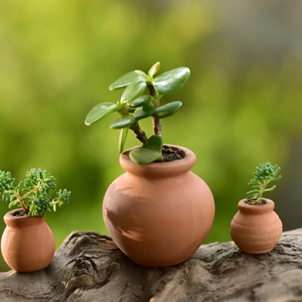 Macetas arcilla para plantas en miniatura o microecosistemas