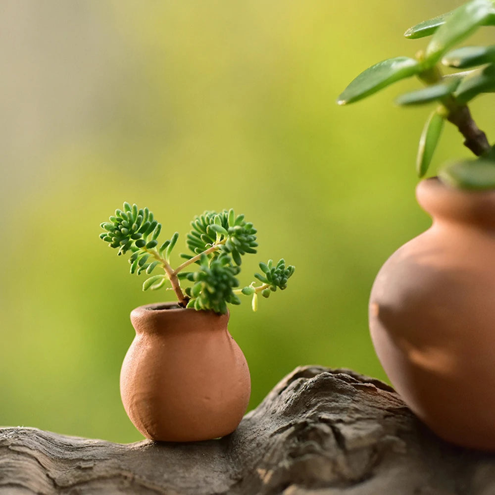 Macetas arcilla para plantas en miniatura o microecosistemas